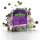 Massiv’s | Zahnstocher - Black Lebanese • Grape Mint • 100 Zahnstocher ➤ VPE = 10 Stück